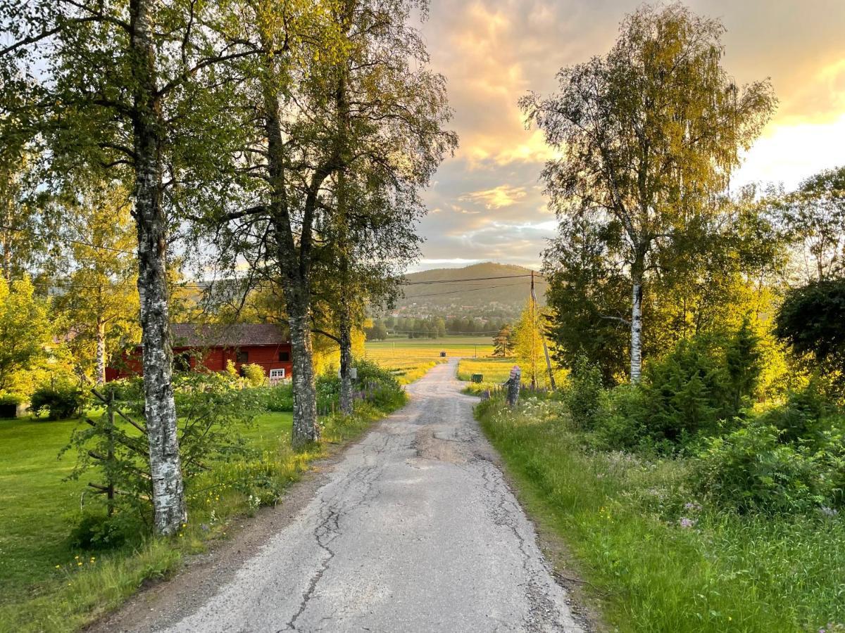 Hostel Helsingegarden Järvsö Exteriér fotografie