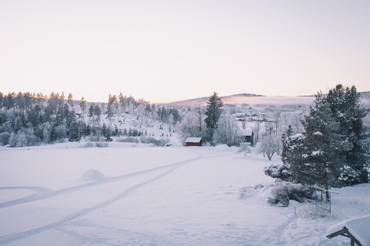 Hostel Helsingegarden Järvsö Exteriér fotografie