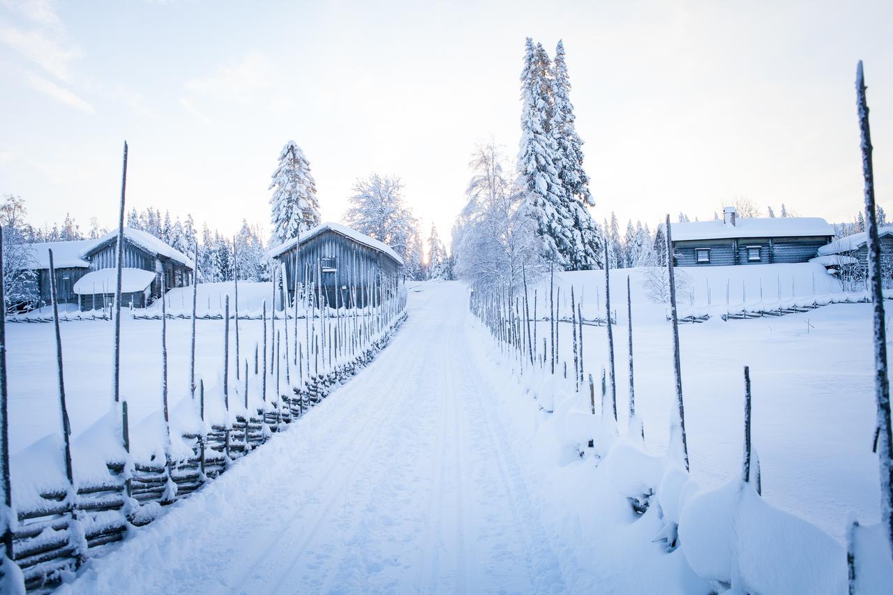 Hostel Helsingegarden Järvsö Exteriér fotografie