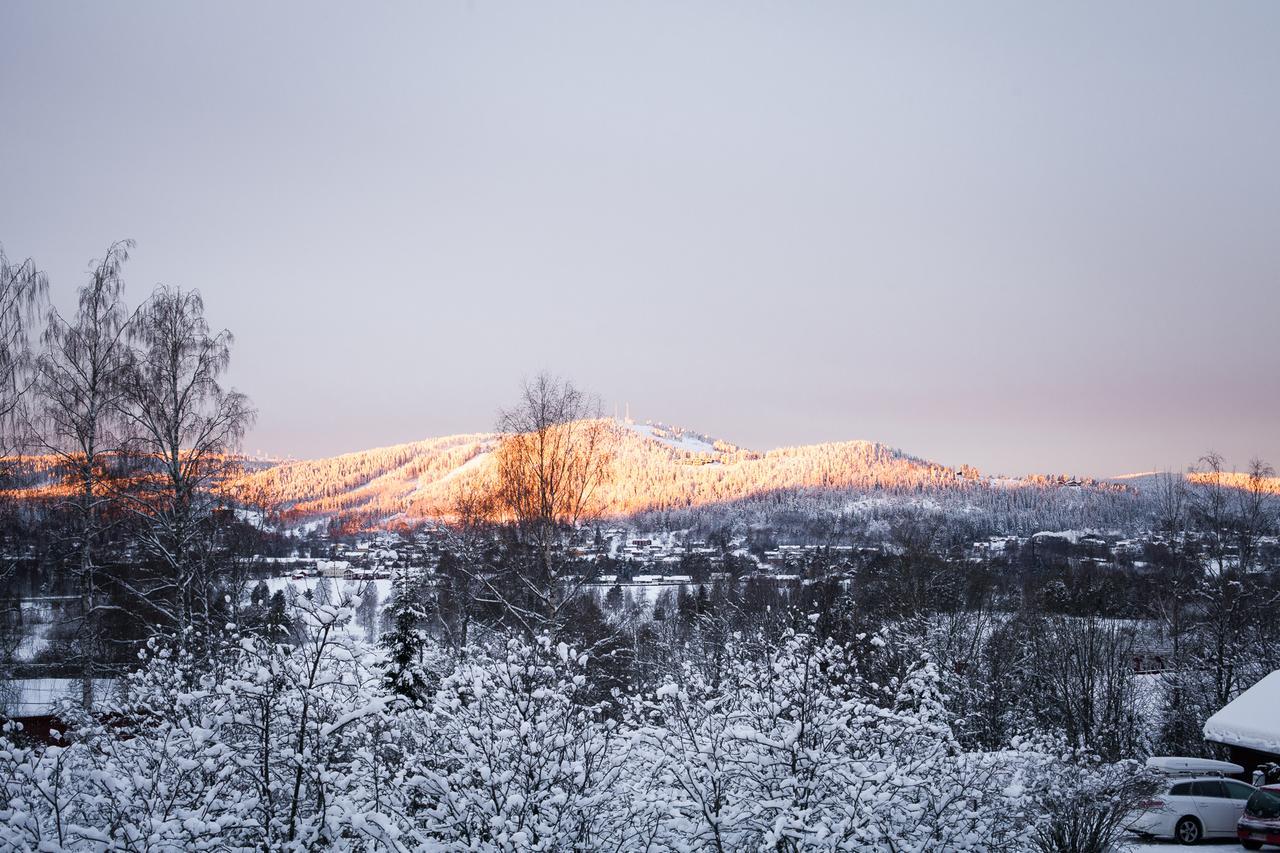 Hostel Helsingegarden Järvsö Exteriér fotografie