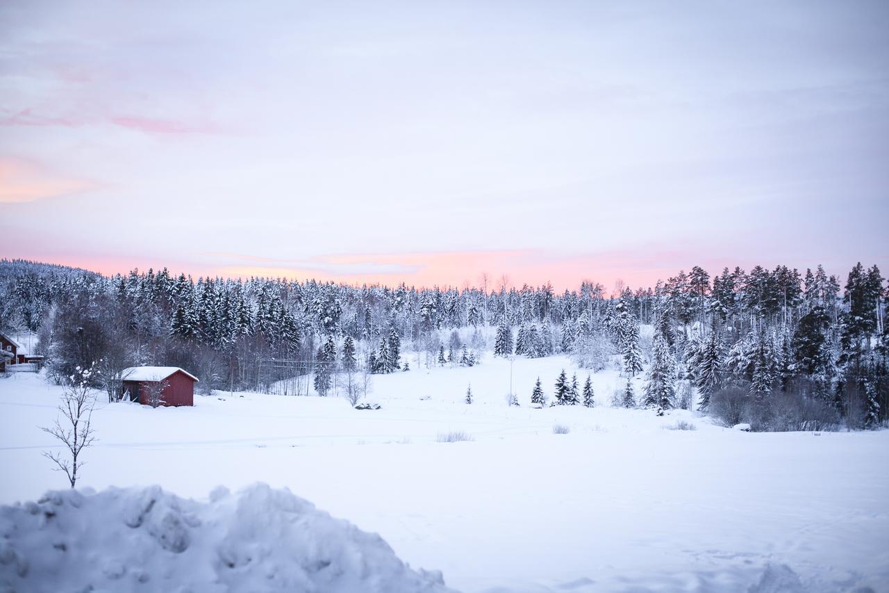 Hostel Helsingegarden Järvsö Exteriér fotografie
