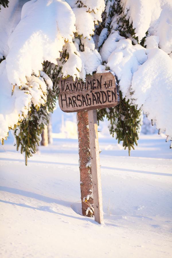 Hostel Helsingegarden Järvsö Exteriér fotografie